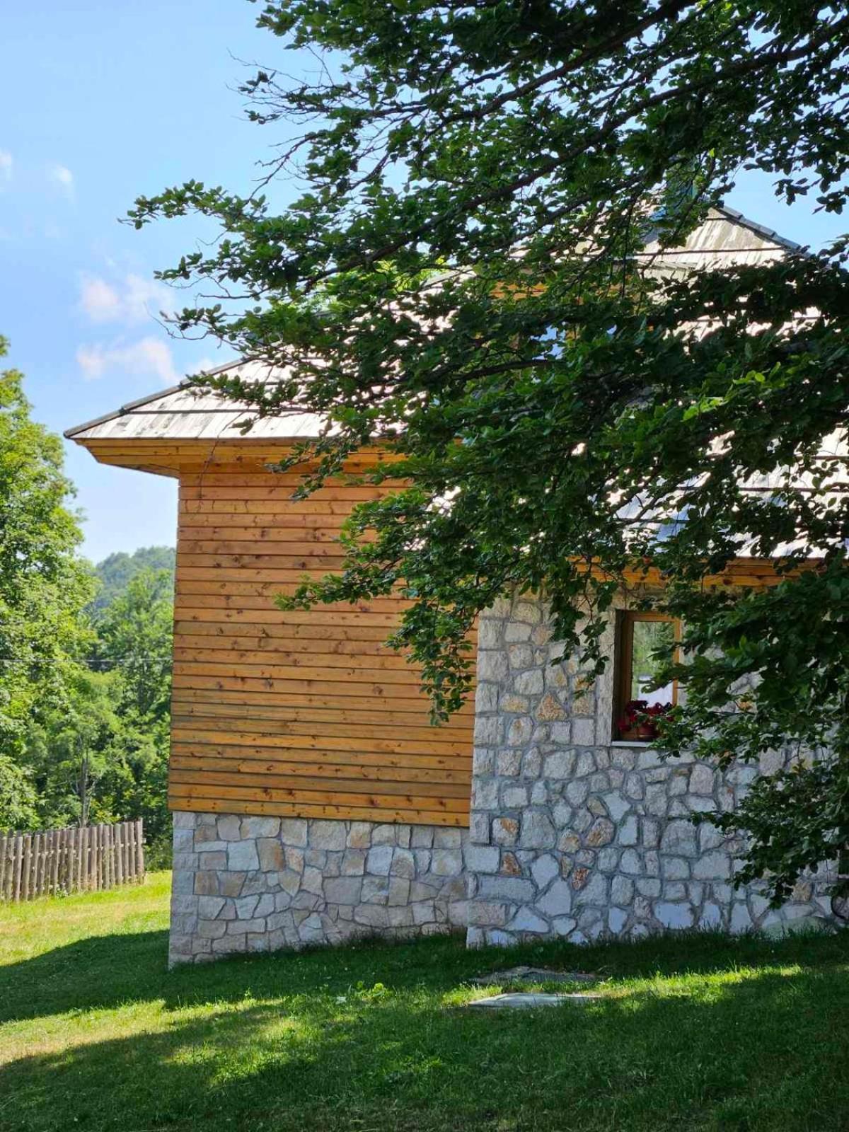 Green Forest Žabljak Extérieur photo