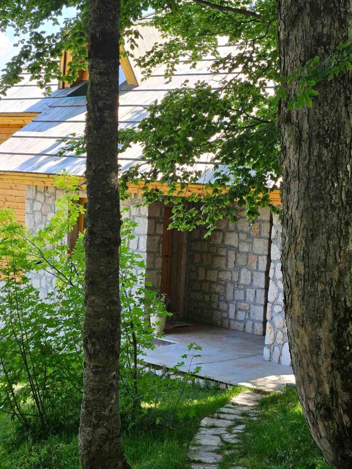 Green Forest Žabljak Extérieur photo